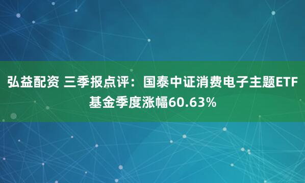弘益配资 三季报点评：国泰中证消费电子主题ETF基金季度涨幅60.63%