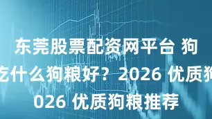 东莞股票配资网平台 狗狗肥胖吃什么狗粮好？2026 优质狗粮推荐